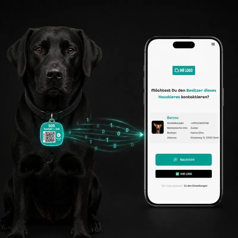 Chien avec médaillon SOS au collier